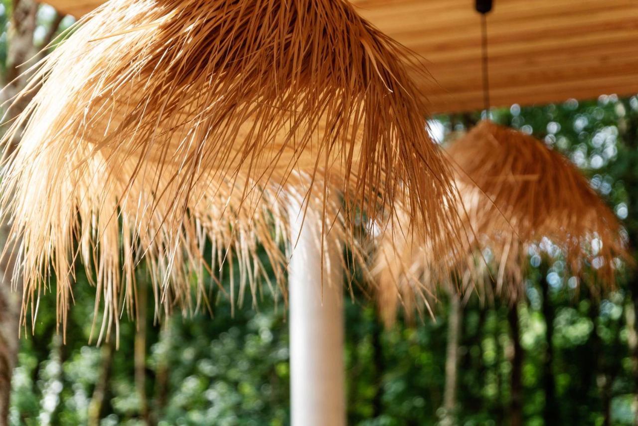 Dans Les Arbres Bed and Breakfast Lanta Εξωτερικό φωτογραφία